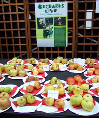 Apple Day Eggesford 2006
